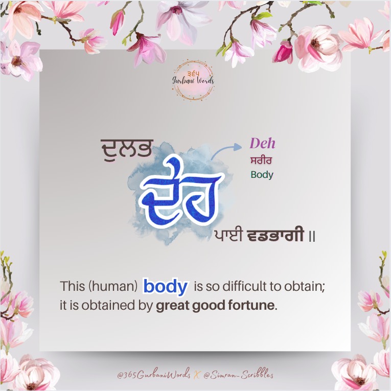 ਦੇਹ — card from the original 365 Gurbani Words series