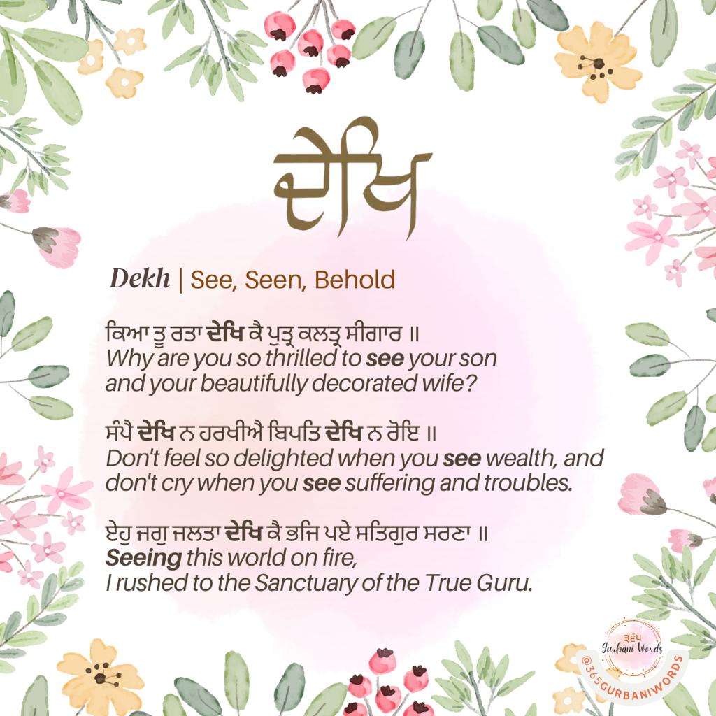 ਦੇਖਿ — card from the original 365 Gurbani Words series