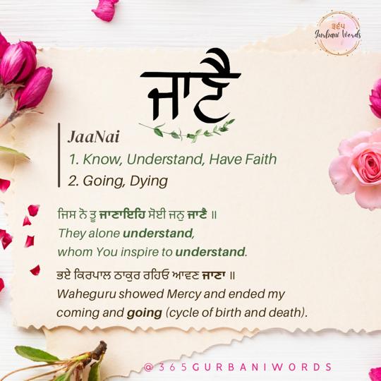 ਜਾਣੈ — card from the original 365 Gurbani Words series