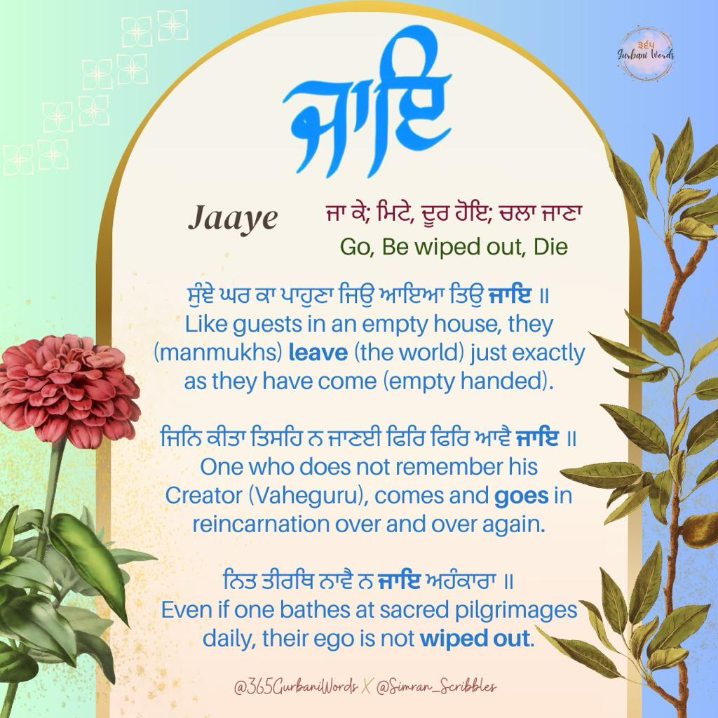 ਜਾਇ — card from the original 365 Gurbani Words series (1 of 3)