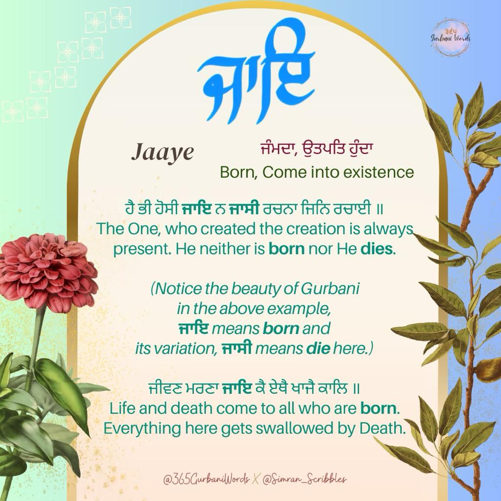 ਜਾਇ — card from the original 365 Gurbani Words series (2 of 3)
