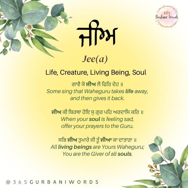 ਜੀਅ — card from the original 365 Gurbani Words series