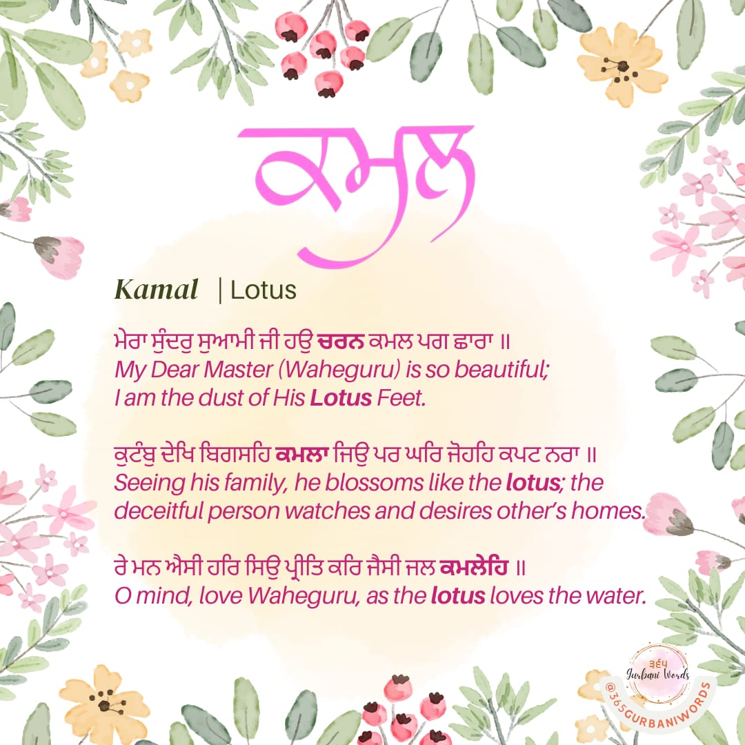 ਕਮਲ — card from the original 365 Gurbani Words series