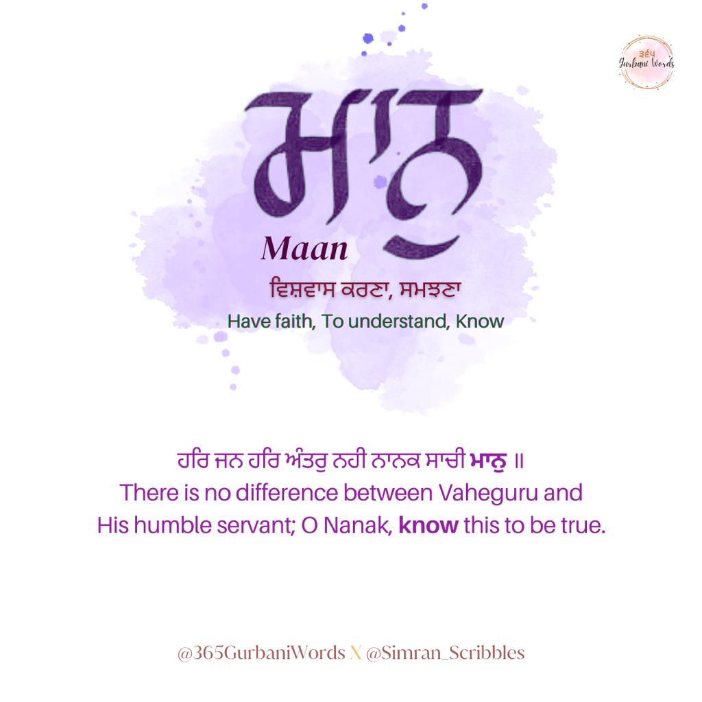 ਮਾਨੁ — card from the original 365 Gurbani Words series (2 of 2)