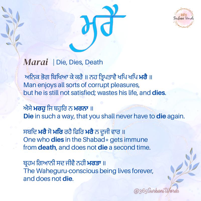 ਮਰੈ — card from the original 365 Gurbani Words series