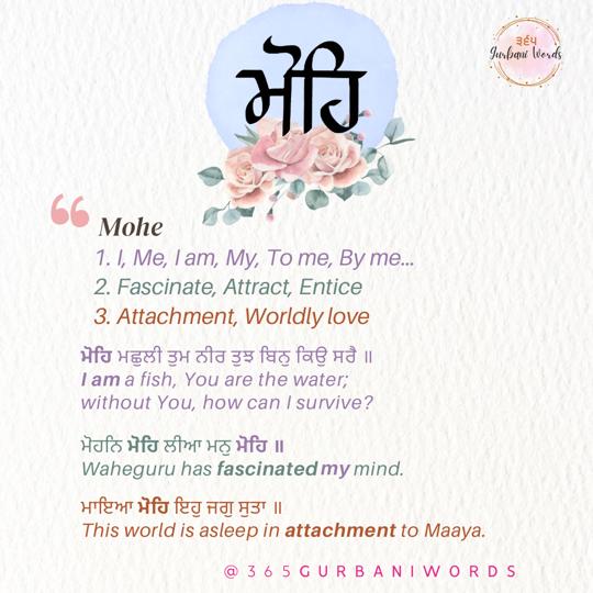 ਮੋਹਿ — card from the original 365 Gurbani Words series