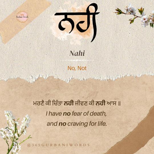 ਨਹੀ — card from the original 365 Gurbani Words series