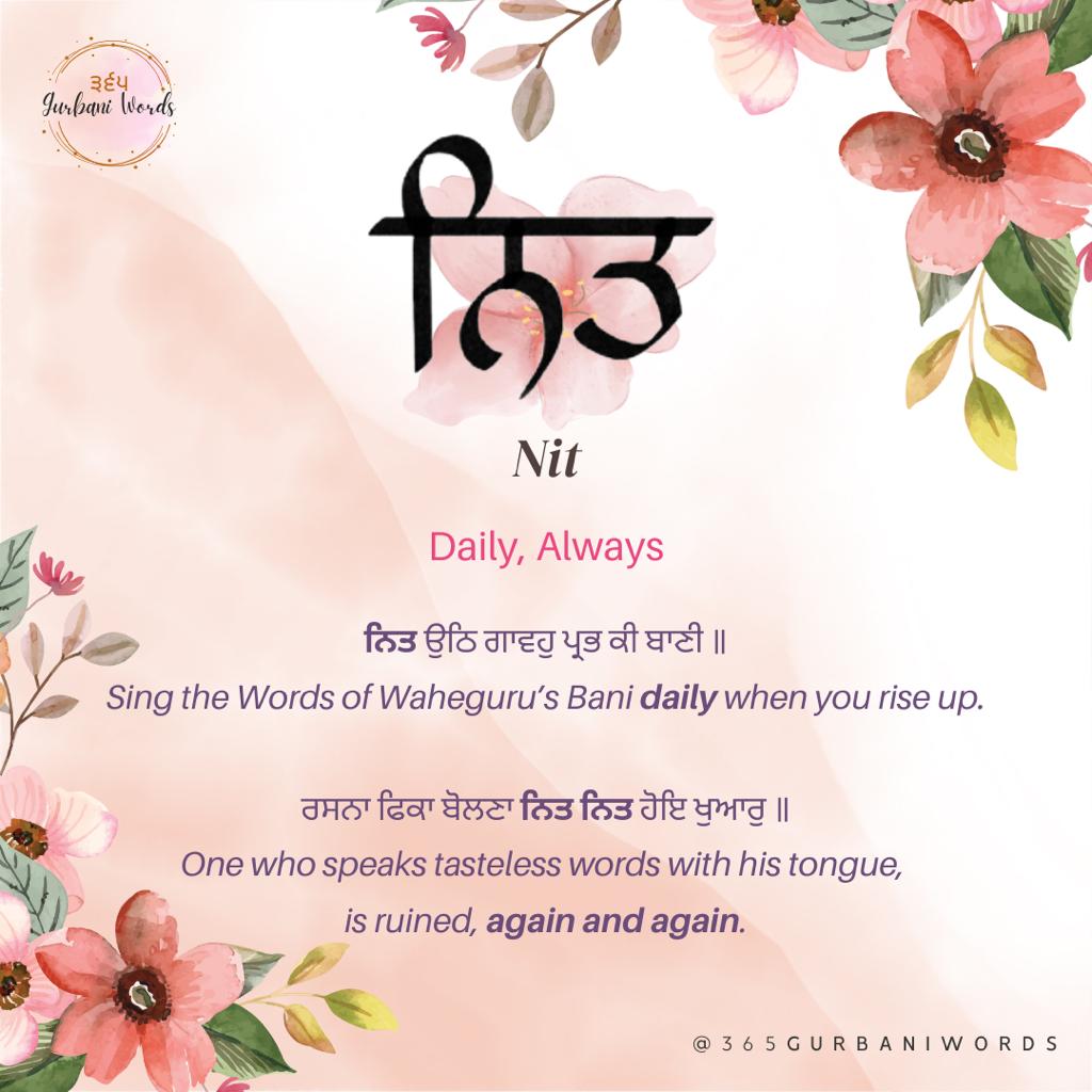 ਨਿਤ — card from the original 365 Gurbani Words series