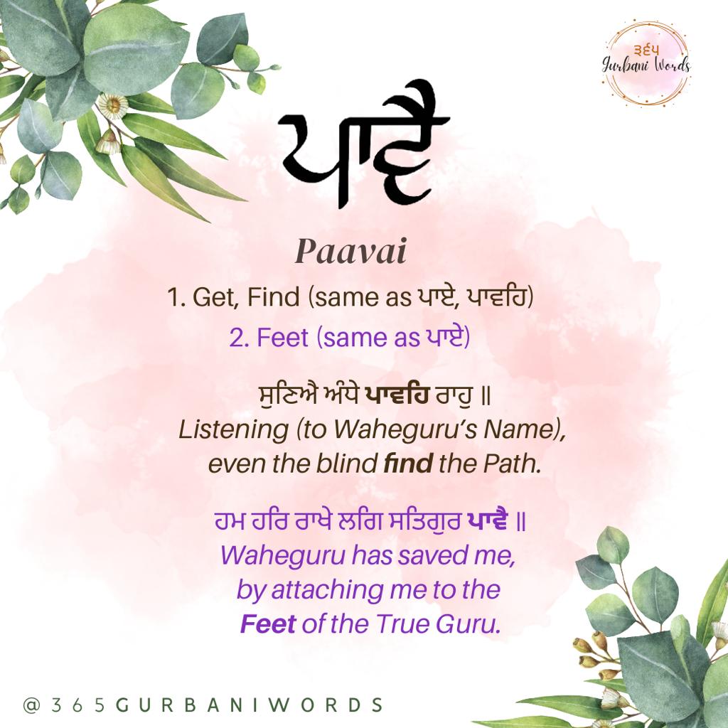 ਪਾਵੈ — card from the original 365 Gurbani Words series