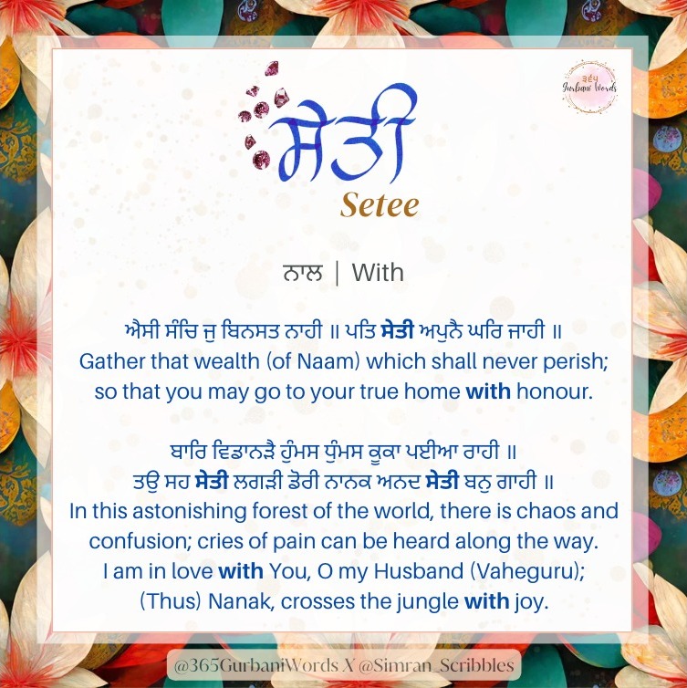 ਸੇਤੀ — card from the original 365 Gurbani Words series