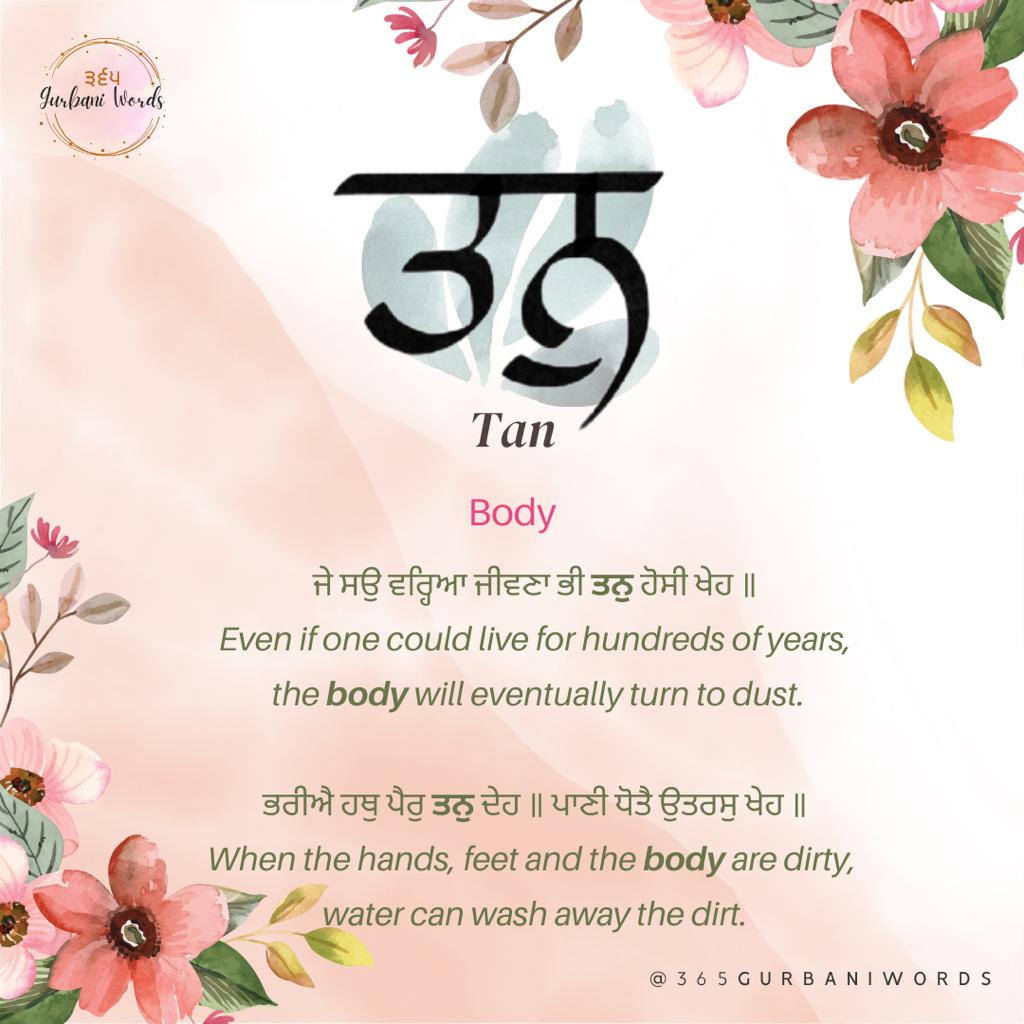 ਤਨੁ — card from the original 365 Gurbani Words series