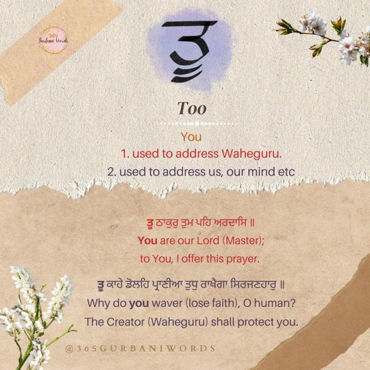ਤੂ — card from the original 365 Gurbani Words series