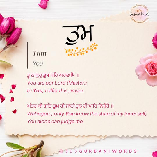 ਤੁਮ — card from the original 365 Gurbani Words series